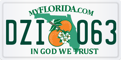 FL license plate DZIO63