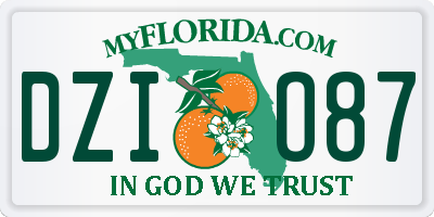 FL license plate DZIO87
