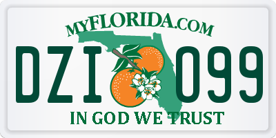 FL license plate DZIO99