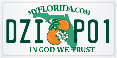 FL license plate DZIP01