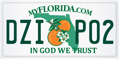FL license plate DZIP02
