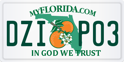 FL license plate DZIP03