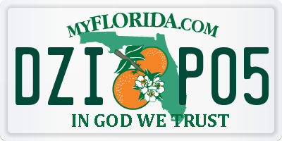 FL license plate DZIP05