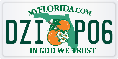 FL license plate DZIP06