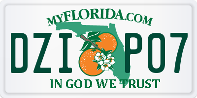 FL license plate DZIP07