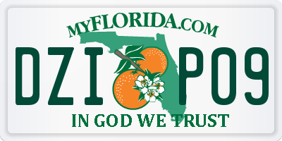 FL license plate DZIP09