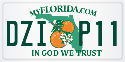 FL license plate DZIP11