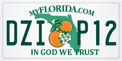 FL license plate DZIP12