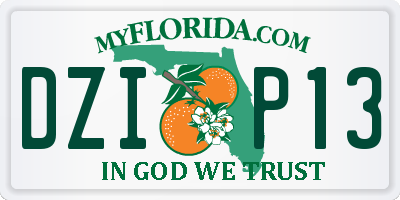 FL license plate DZIP13
