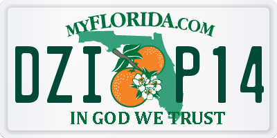 FL license plate DZIP14