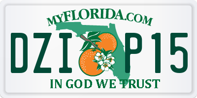 FL license plate DZIP15