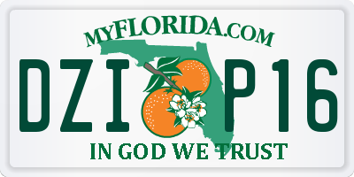 FL license plate DZIP16