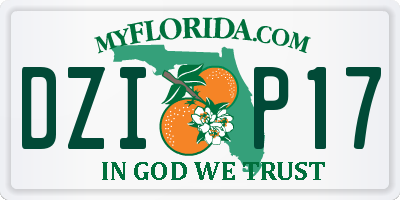 FL license plate DZIP17