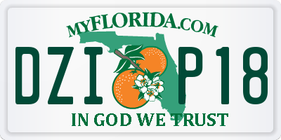 FL license plate DZIP18