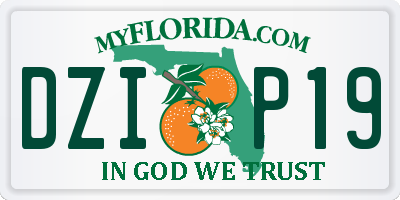 FL license plate DZIP19
