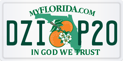FL license plate DZIP20