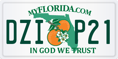FL license plate DZIP21