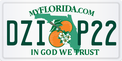 FL license plate DZIP22
