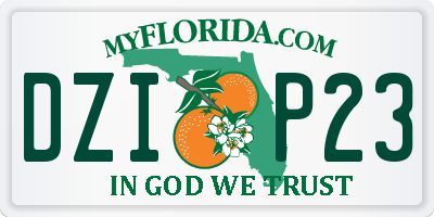 FL license plate DZIP23