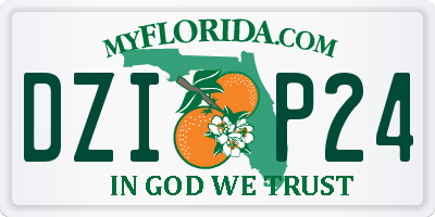 FL license plate DZIP24