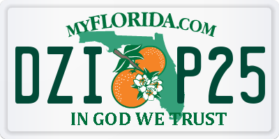 FL license plate DZIP25