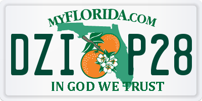 FL license plate DZIP28