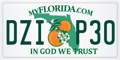 FL license plate DZIP30