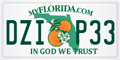 FL license plate DZIP33
