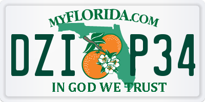 FL license plate DZIP34