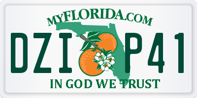 FL license plate DZIP41