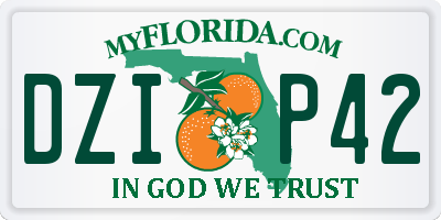 FL license plate DZIP42