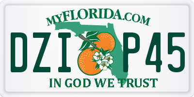FL license plate DZIP45