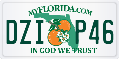 FL license plate DZIP46