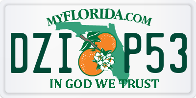 FL license plate DZIP53