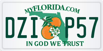 FL license plate DZIP57