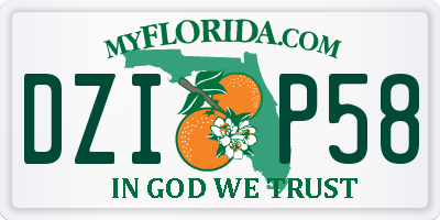 FL license plate DZIP58