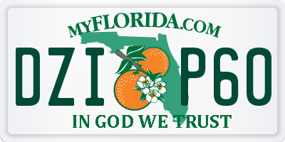 FL license plate DZIP60