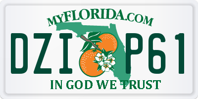 FL license plate DZIP61
