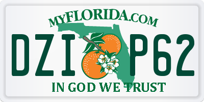 FL license plate DZIP62