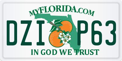 FL license plate DZIP63