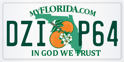 FL license plate DZIP64