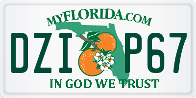 FL license plate DZIP67