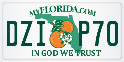 FL license plate DZIP70