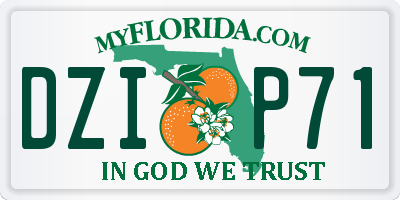 FL license plate DZIP71