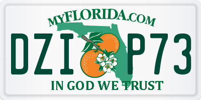 FL license plate DZIP73