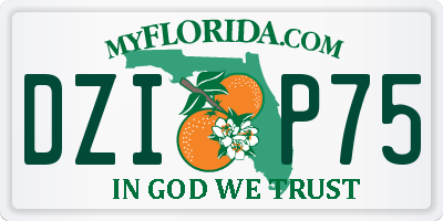 FL license plate DZIP75