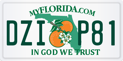 FL license plate DZIP81