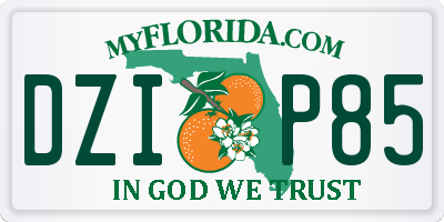 FL license plate DZIP85