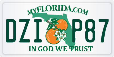 FL license plate DZIP87
