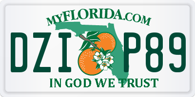 FL license plate DZIP89